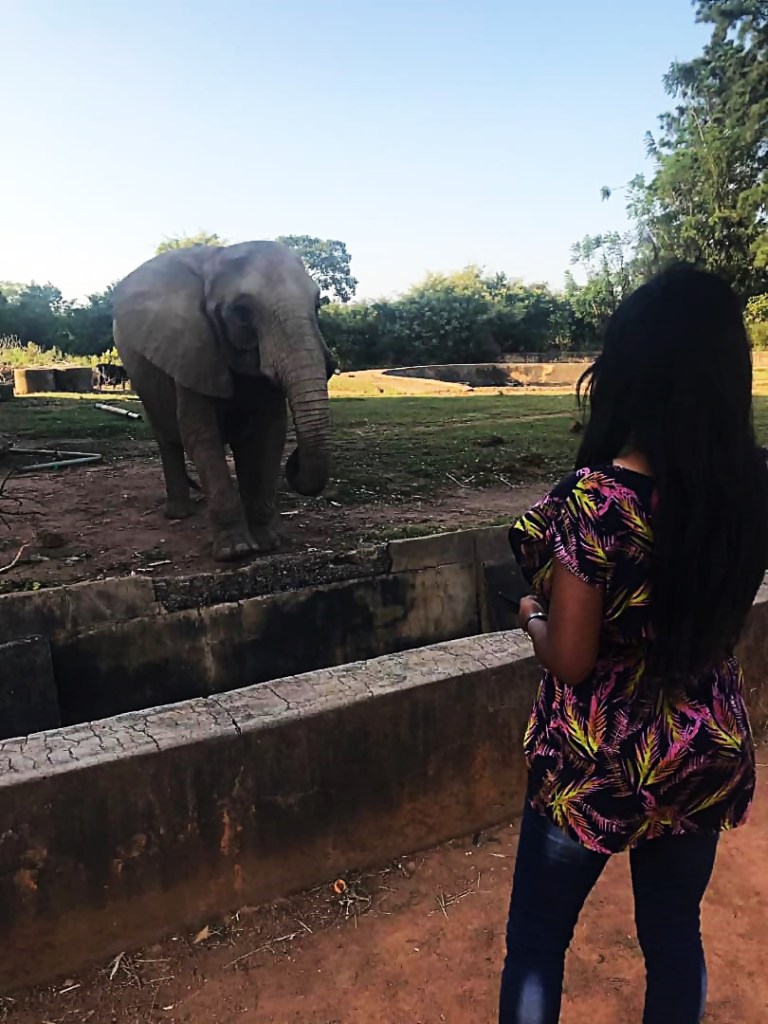 Wildlife Park, Jos, Plateau State